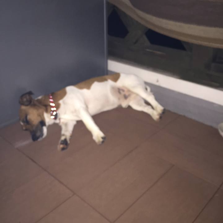 10194760 c77a 4f09 9fa5 1fef3d37a1c6