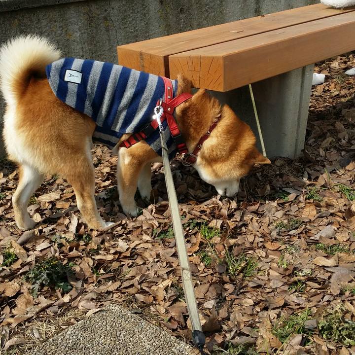 1019f4f2 50b0 47f2 b6db e6565c66a58e