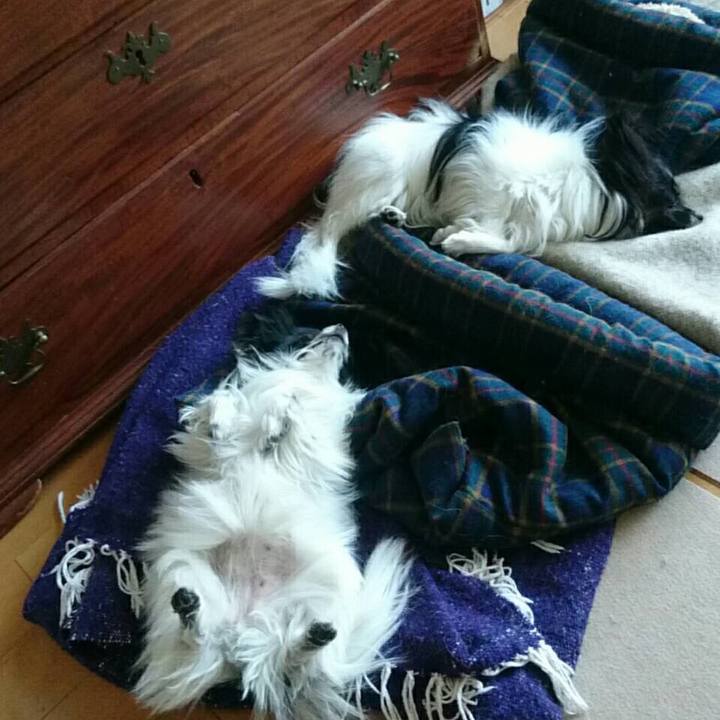 101a5384 93ab 41b3 b5b5 de74a29958dd