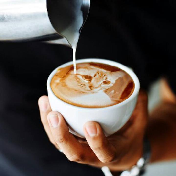 101a7cfc dc96 4400 9d9a ab49f5a943b9