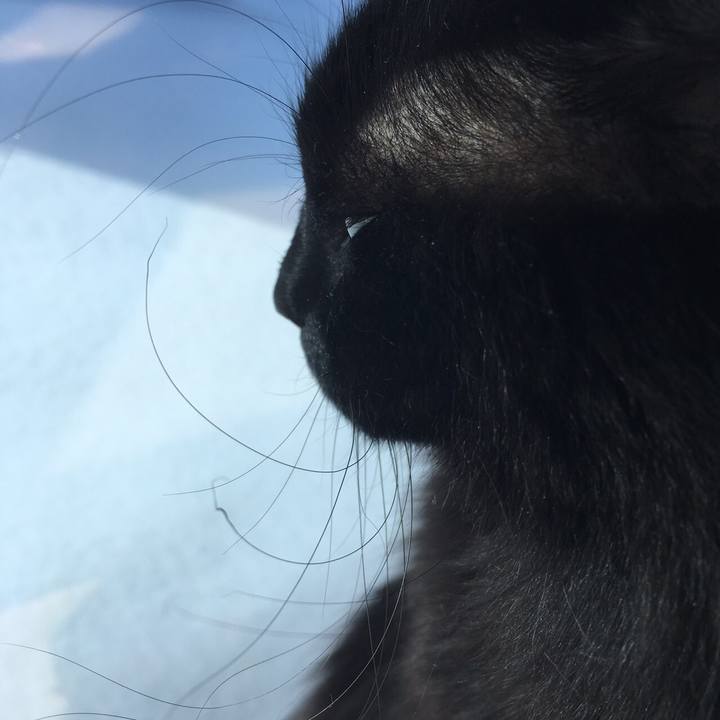 101a99d7 5ac6 4825 9488 7068255e97a8