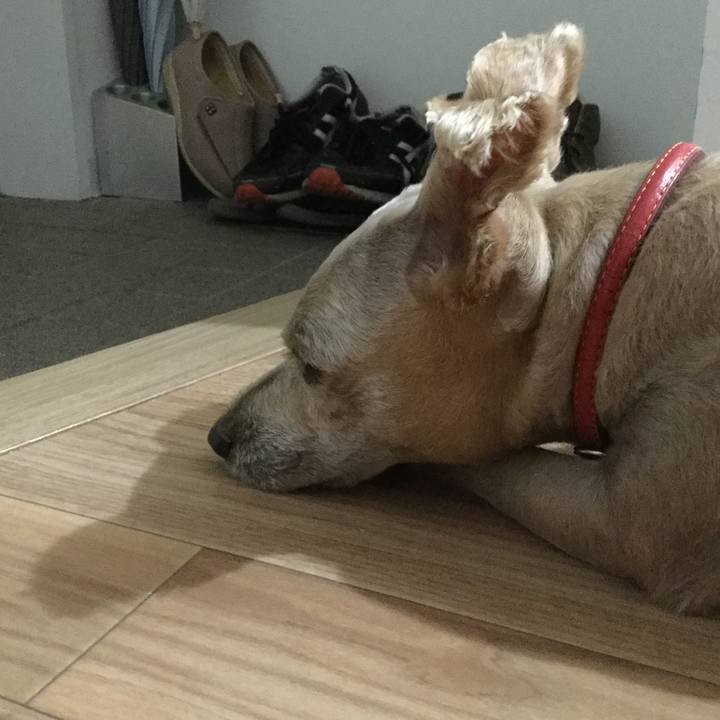 101ac0bb b9fc 472e acf7 86f6a05c50b5