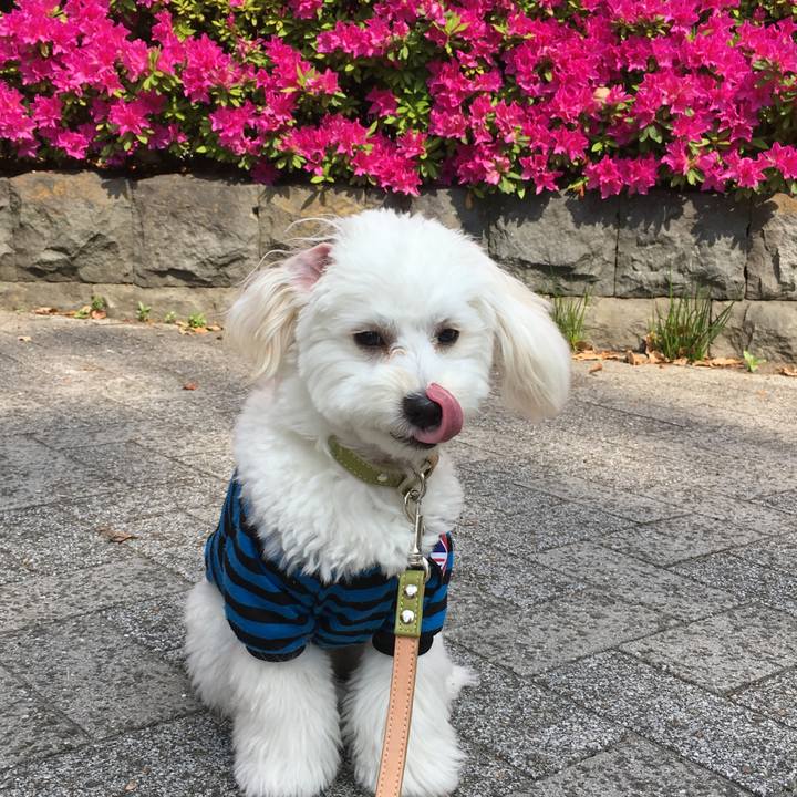 101afa50 993a 4f27 aeb1 da5967e29d7a