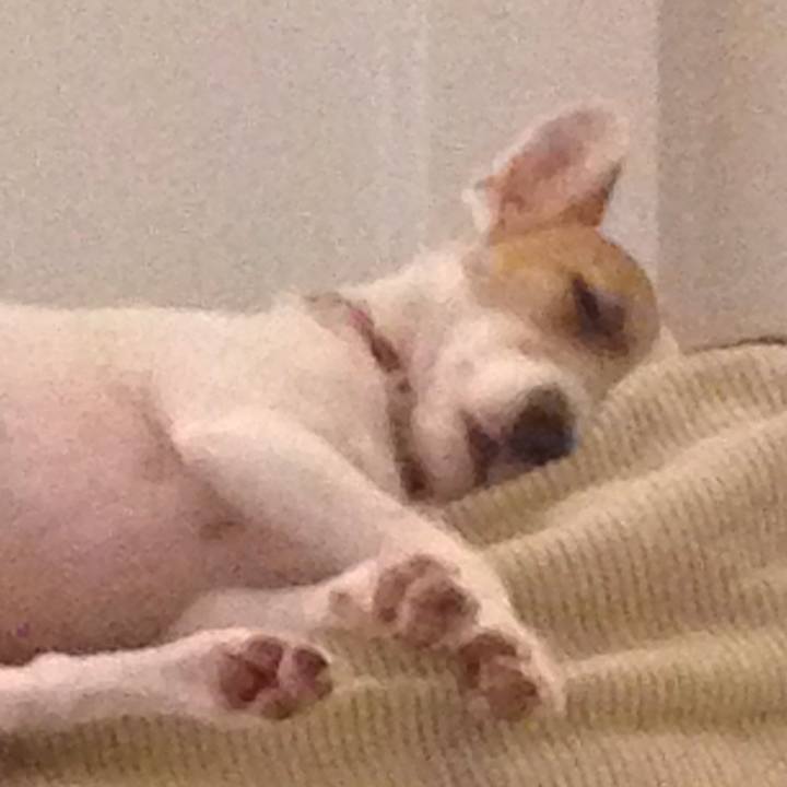 101b7de5 3ae5 4b89 8e4f 6273e3cf62a8