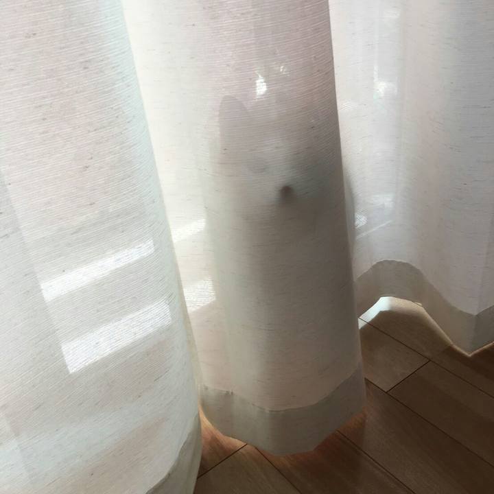 101bf359 bdfd 4297 99d5 41f39f3e52c9