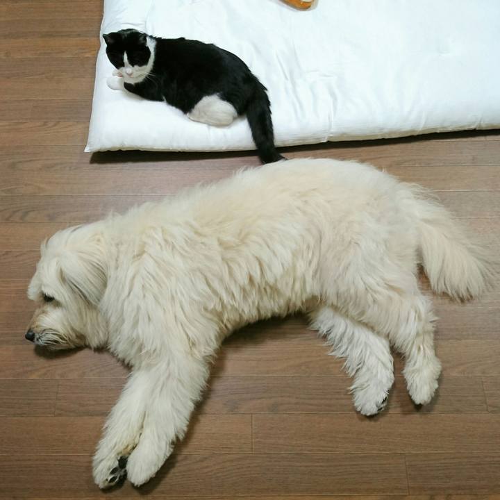 101c08a6 a26c 4597 8ea4 e0c57c75b481