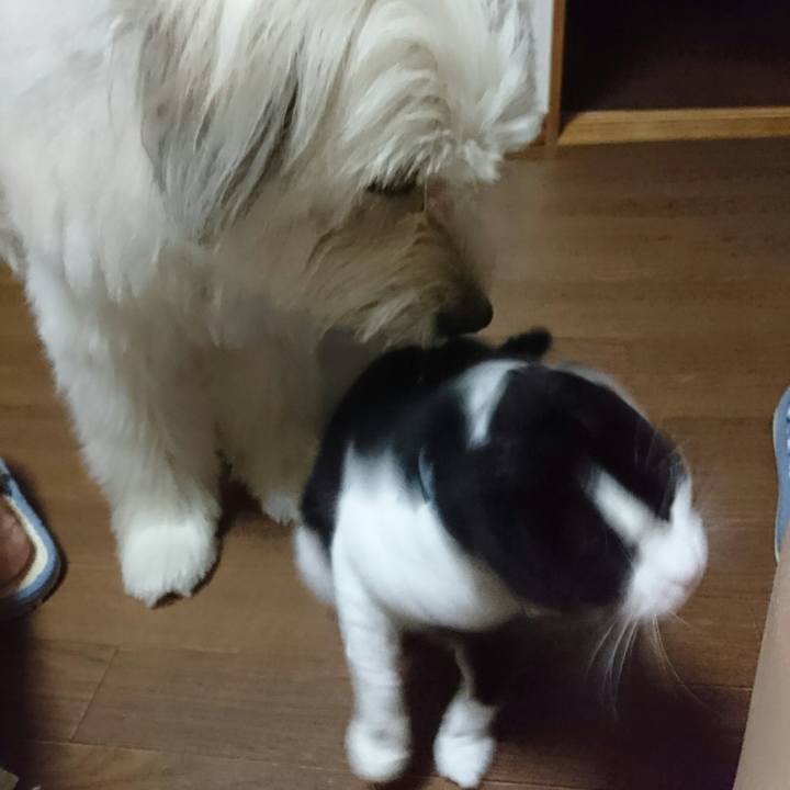 101c624b 7a4e 455e 8d3e 16825ae7eb72