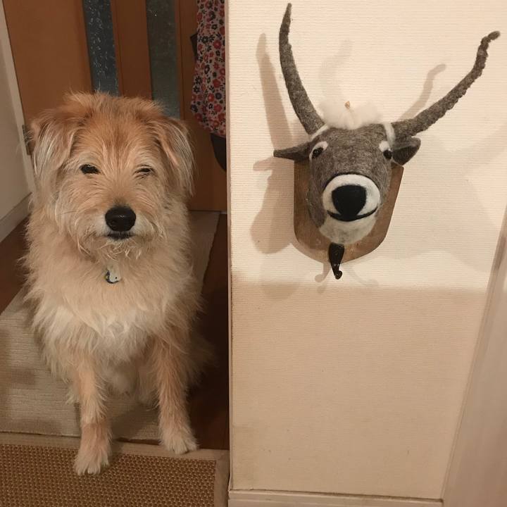 101c80c3 32e1 4ce3 ab6d e7ccf83332e7