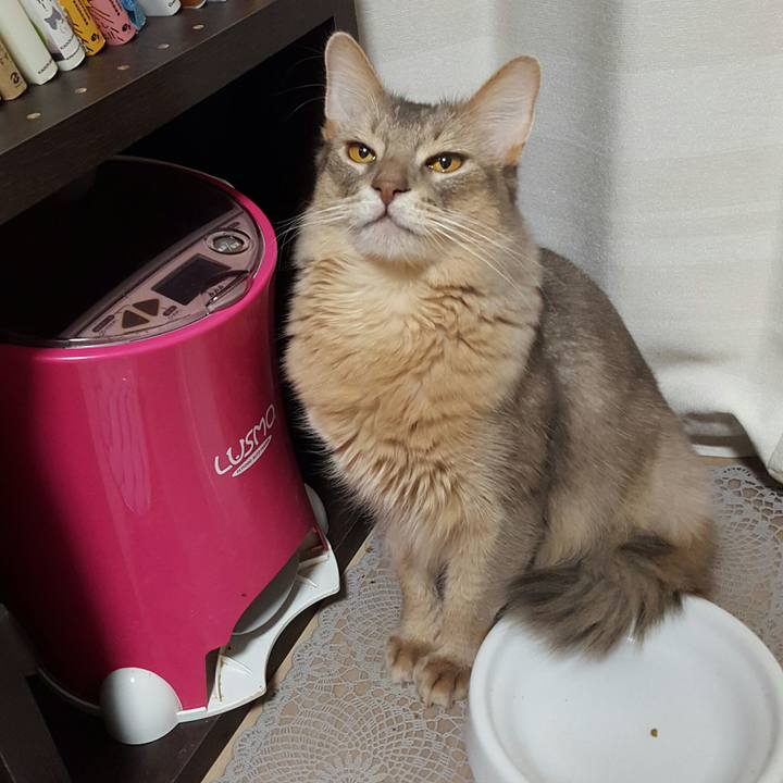 101c9357 6c88 42b4 a747 bf76824516db