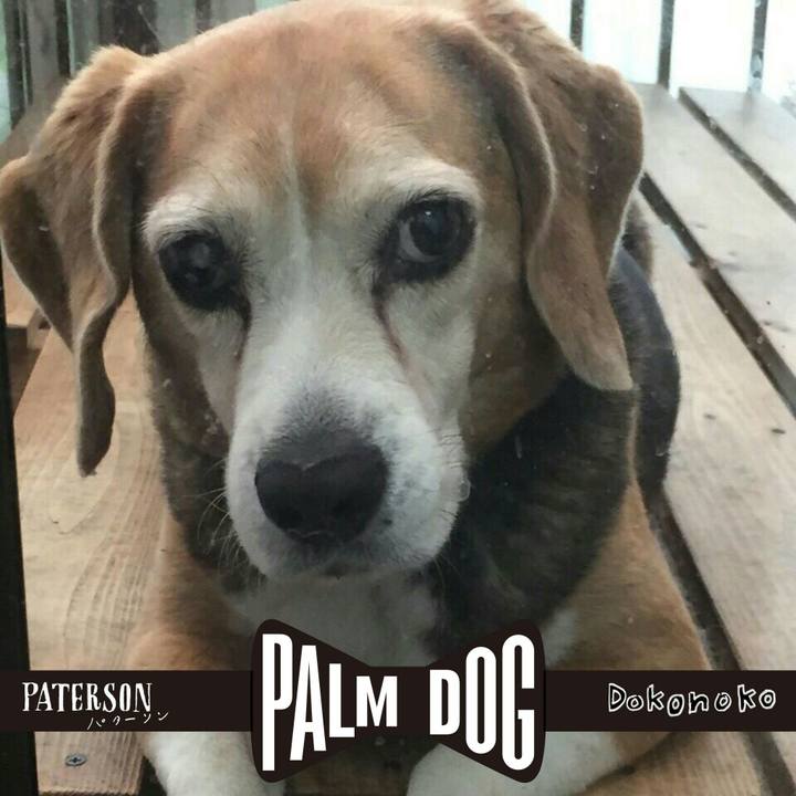 101d1640 f8b1 4e09 806a 5c6243fe21e6