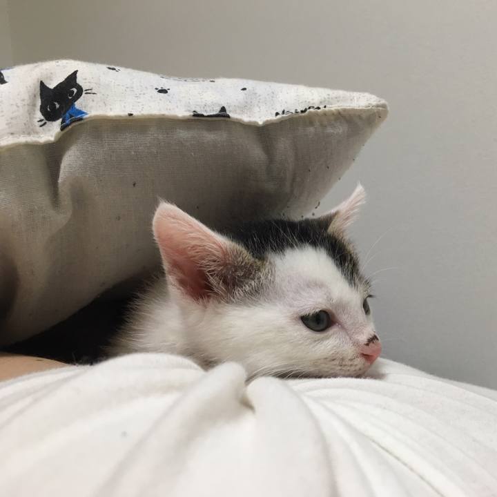 101e46d0 9b00 4c8a a345 8fd7079ffd8e