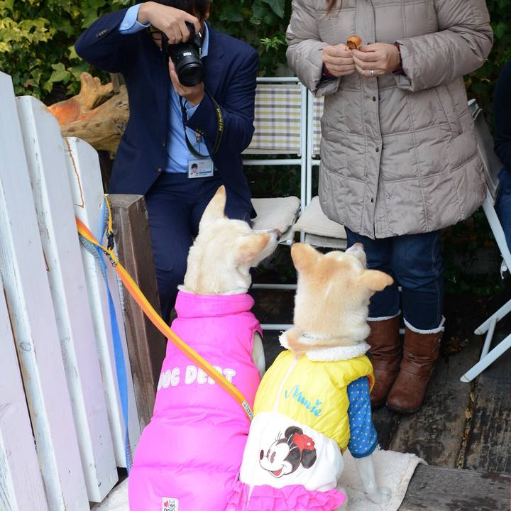 101e5d99 fabc 4709 8282 918b31efaa66