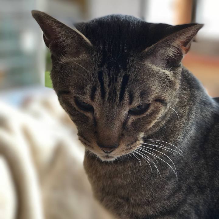 101fdaae 98c5 4efe a4b9 4db8afb486ab