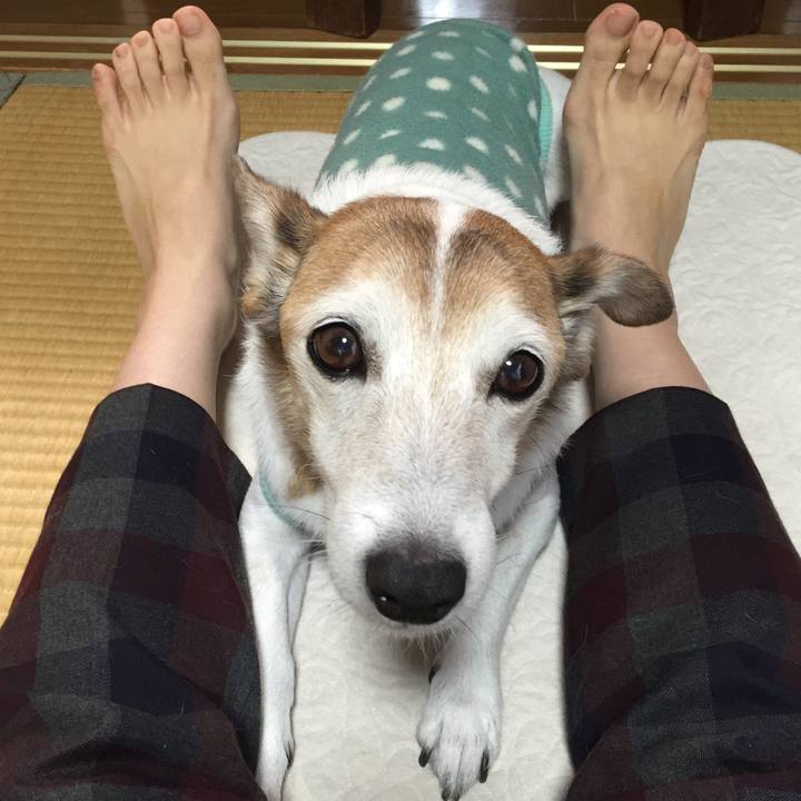 10201344 15f4 4f2c 91aa 32b3c8270472