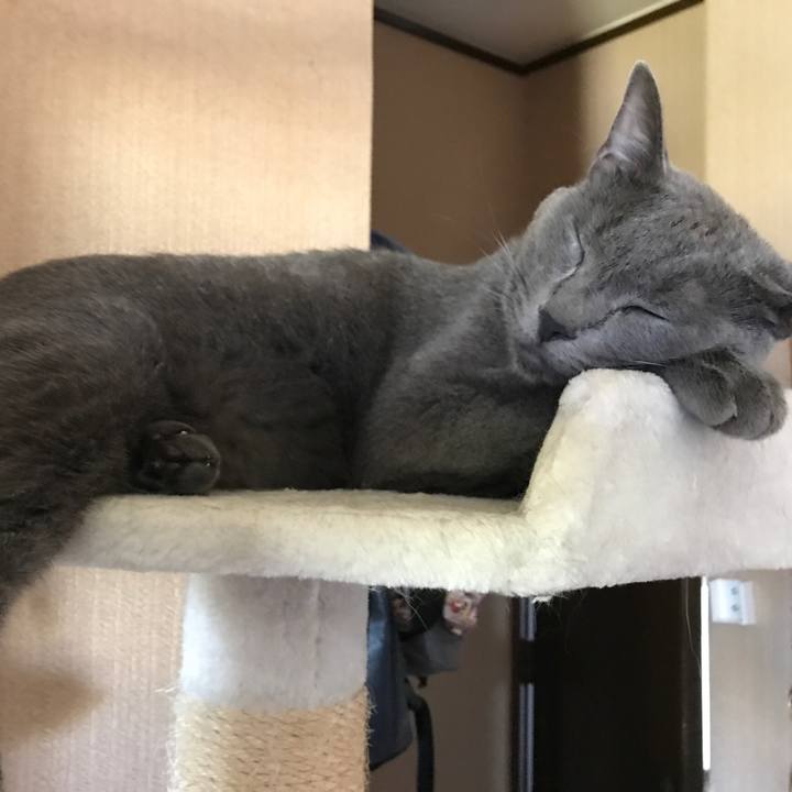 102052a6 10bc 4e8f 845b 737dd4cba89c