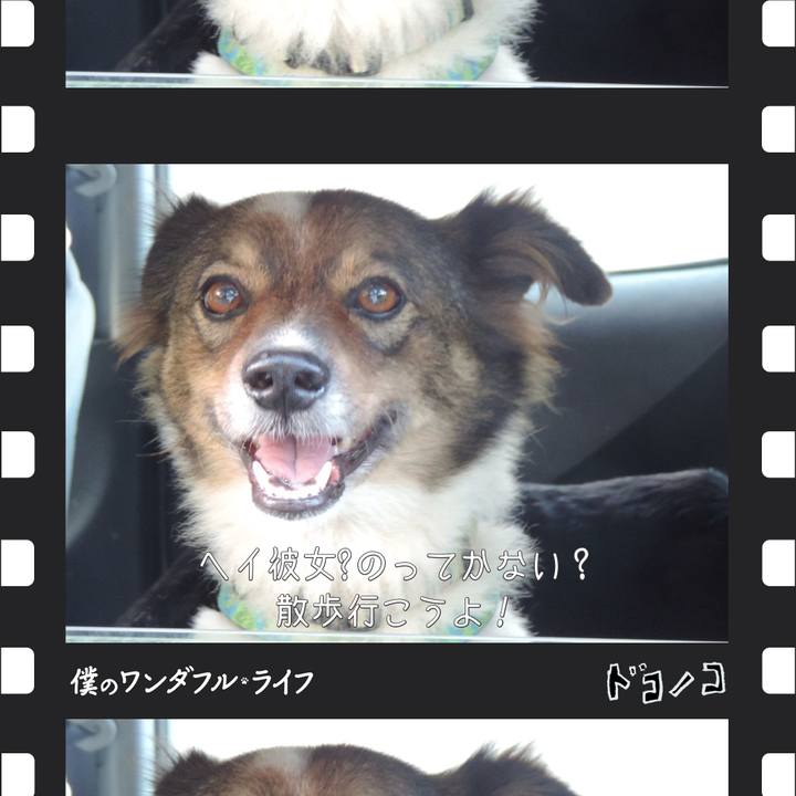 102091f8 b0a7 445a 8428 ec494311695f