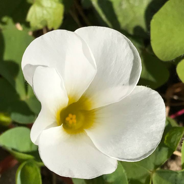 1020adac f2f0 4010 aa9b 99715601a5b3