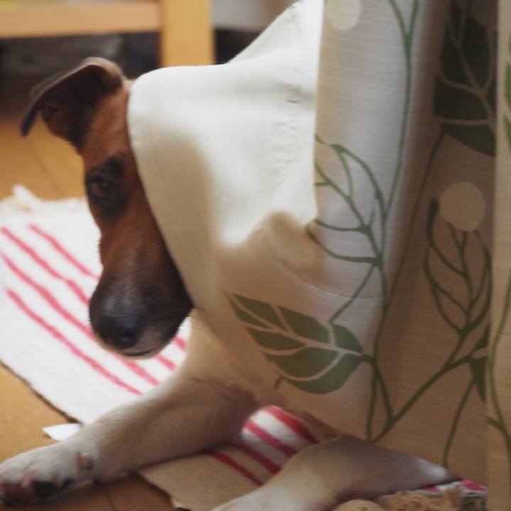 1020fdf0 5970 48ee 80f5 cf310ca61772