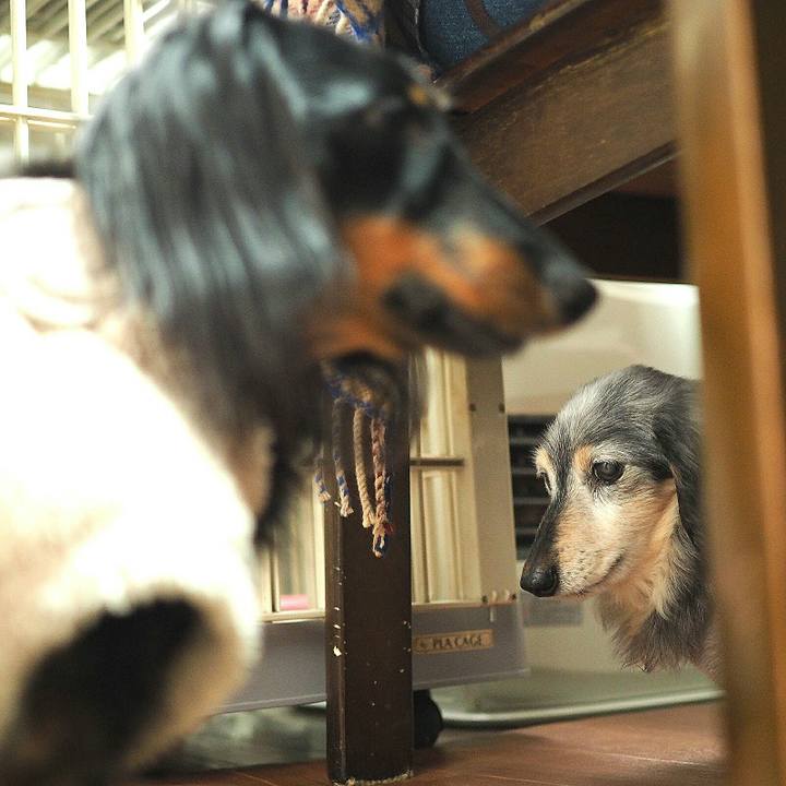 1021034d 53ed 48c9 856a 2206bc7aa3e1