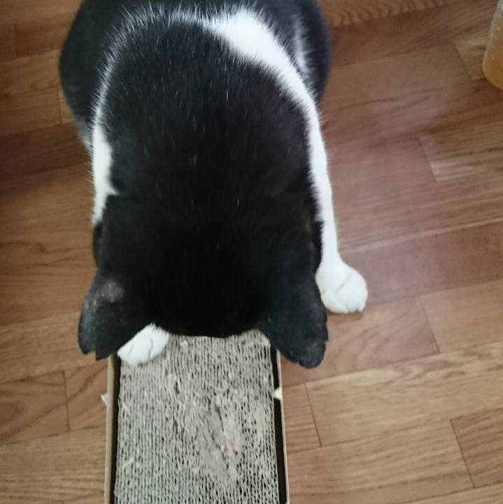 1021963d 6127 4672 a449 2414735ace53