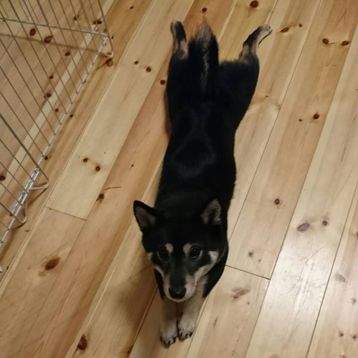 1021a4e9 5fec 4fc2 9e82 7372c1d8af9f