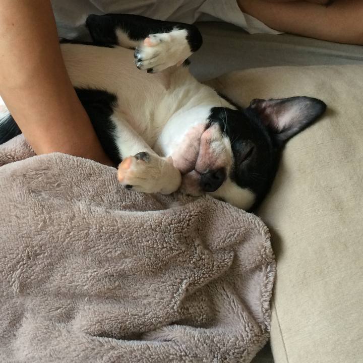 1022044b 0414 4b36 85c2 2548107942da