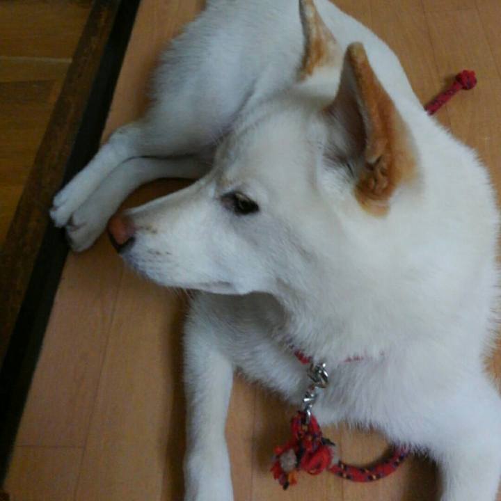 102266f6 97ab 4523 9260 ecd25914741c