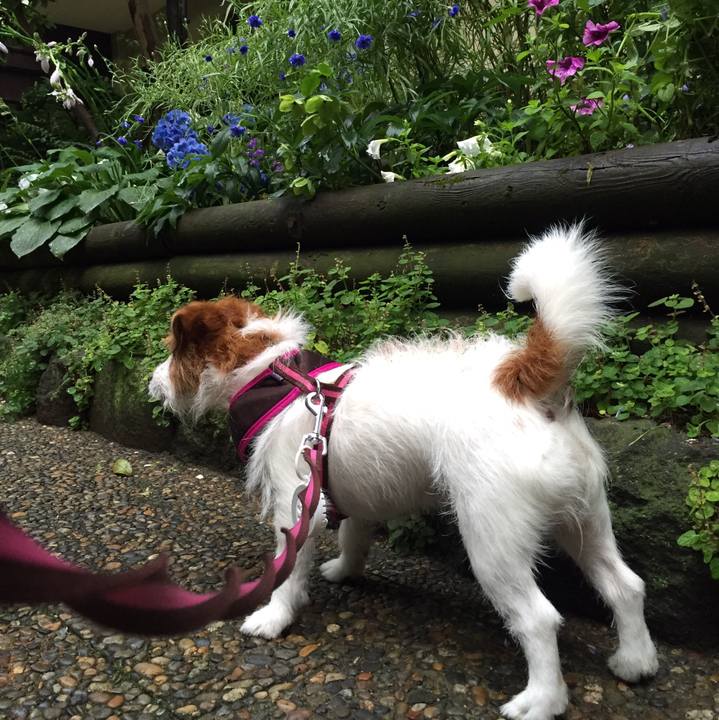 1022c8a7 9162 49a6 acf2 2a51943645a4