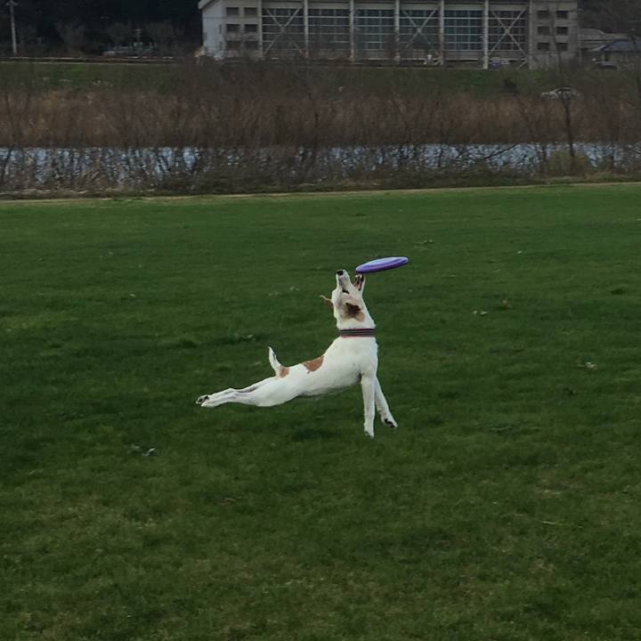 102327a7 3279 4fb3 99b9 5ee3ed9aacdd