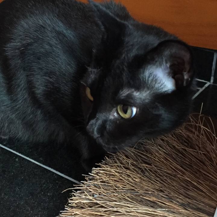 10236c4a b53f 4580 babe 43969ac36bf4