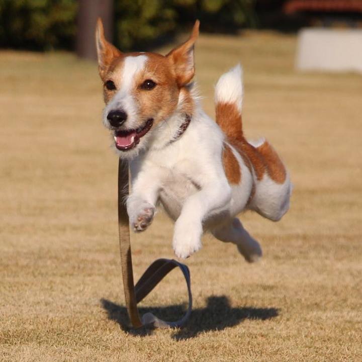 102448d4 f6d1 4cfa a4de 4644428fa9bb