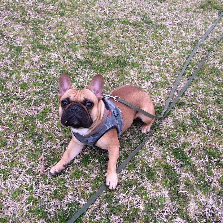 1024740f 319d 4fa0 abc8 1a98d5d32c97