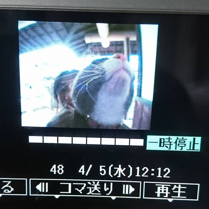 10249734 468a 4ab3 8dec 37c910b6b714