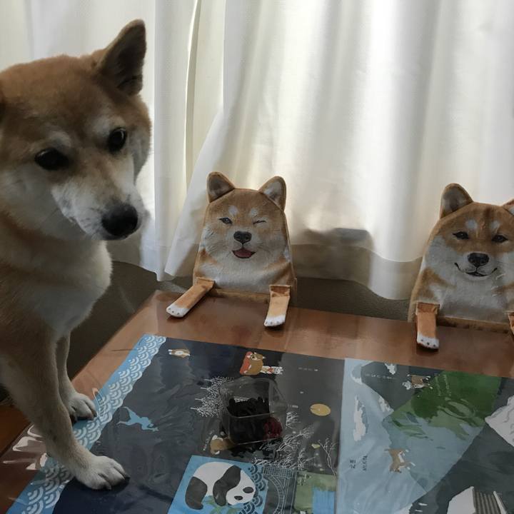 10250948 fca6 43a9 a3a2 e4296ad7f822