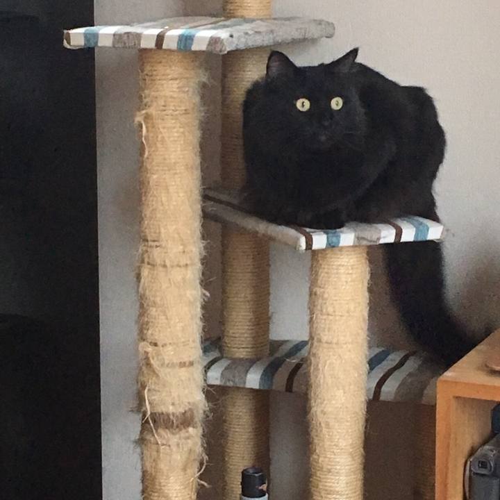 10254b38 005c 417f 930d 431b70b015e6