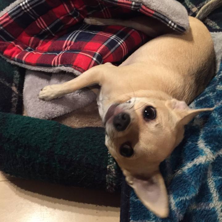 102594d8 25be 4e44 87c0 e2d6d3b1abd5