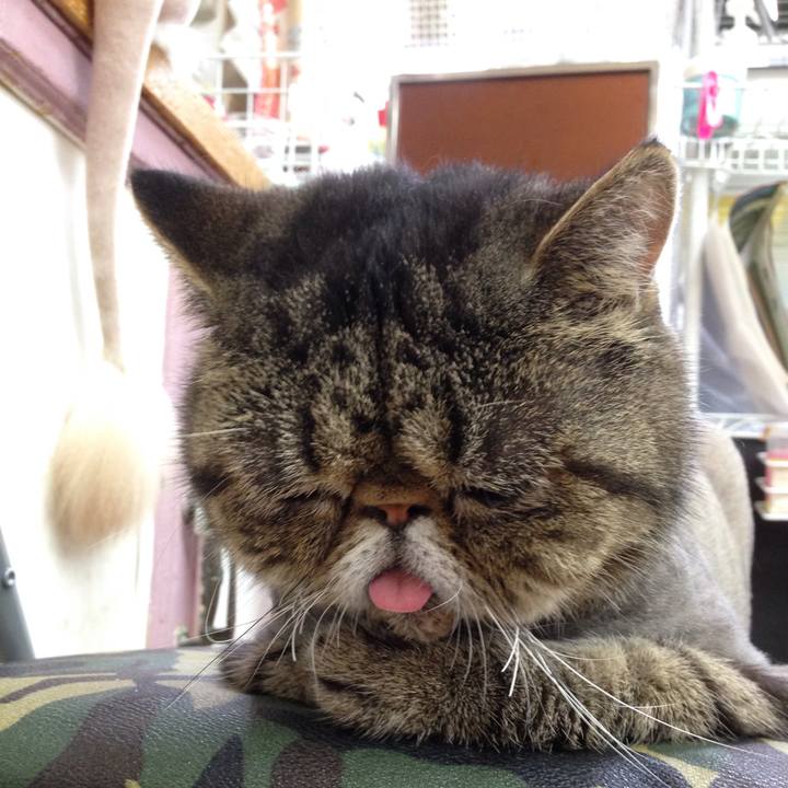 102620d0 0023 429b 959e 029b51cc10d6