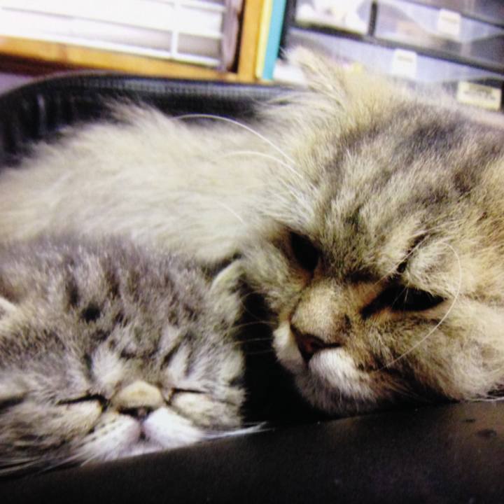 10271f86 0422 4927 8030 696c062d7883