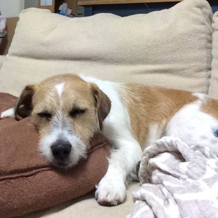 10273e63 692f 4728 81dc ca085f6215f5