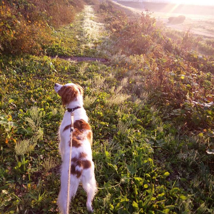 10274b36 9052 4a73 9d57 bf6d7b8f032b