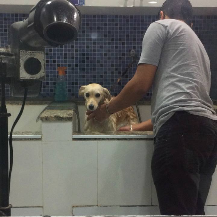 10278b99 e619 48e3 9762 036528f50a46