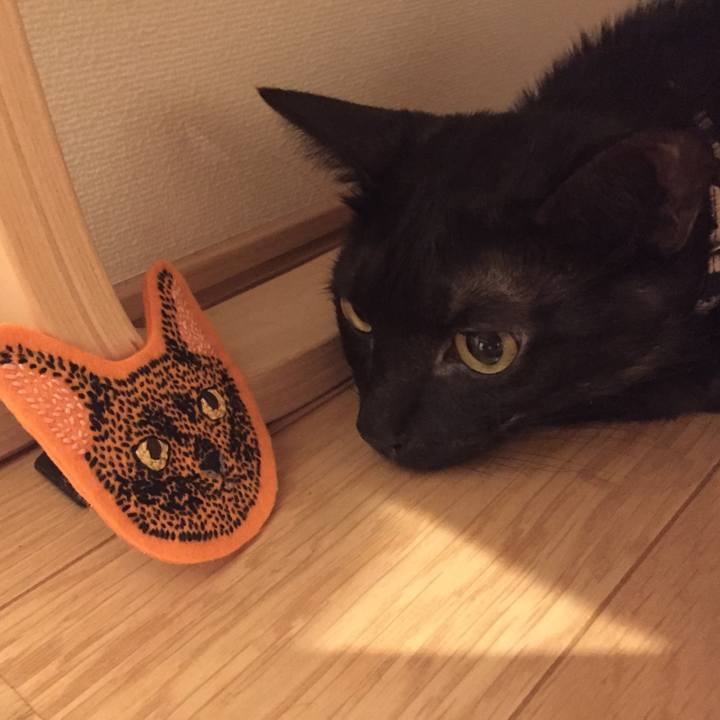 1027a3c8 bacd 4920 9000 96eb9fb8a41c