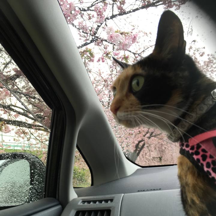 1027c3bd 4973 4ab3 9bf4 65aa52c4b919