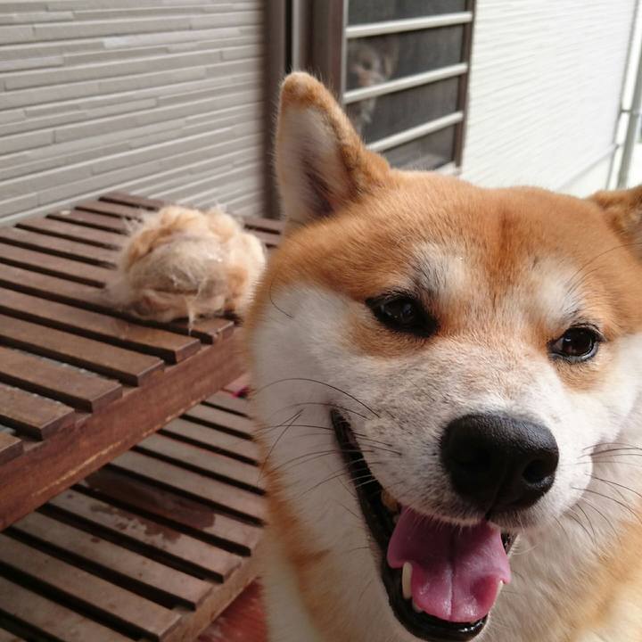 1027ceb5 b533 4e3e 9db1 e1ee1e1fc2e0