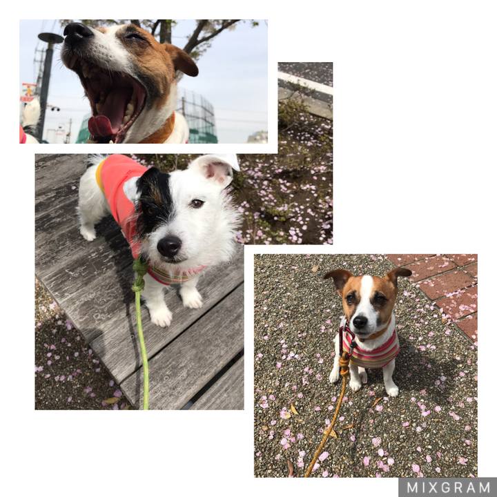 1027e3a1 4495 4826 b34e 9a8024e254e3