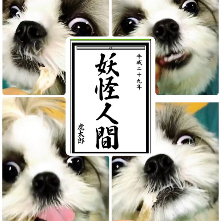 1027edae bfd3 4d9b 8b9c 3aec94e7e2be