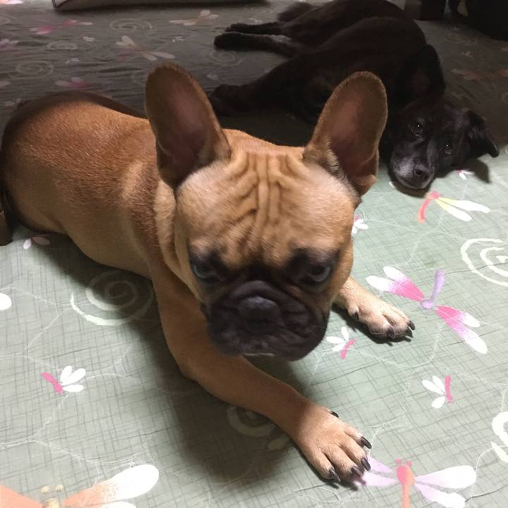 102814d5 4522 41c5 a1f2 2b53f21f0b88