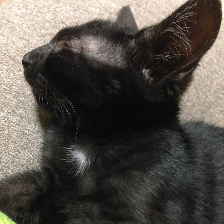 10288cdf 7119 4909 9033 026a7aed71f6