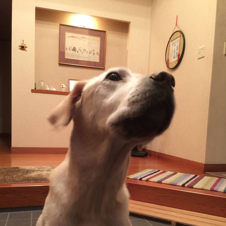 10289209 a409 4dfd a890 65fe8c617ba3