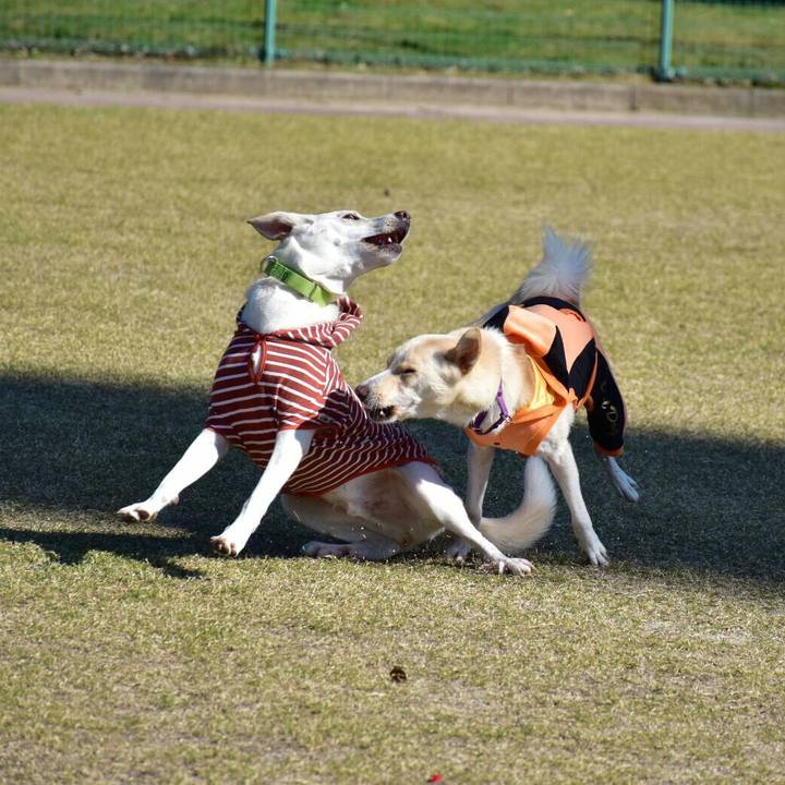 1029947f 0c88 4862 ba26 23125aecd741